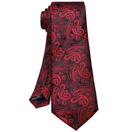 ROBERTO GABBANI Mens Red and Black Paisley Tie and Pocket Square Set, Silk Tie Handkerchief Cufflinks and Clip Set for Men