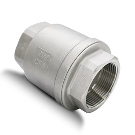 2-1/2" NPT Stainless Steel Spring Check Valve, WOG1000 NPT Thread unleaded In-Line Vertical Check Valve Non Return One Way Counterflow to Prevent the Medium Backflow for Oil Water Gas Air DN65