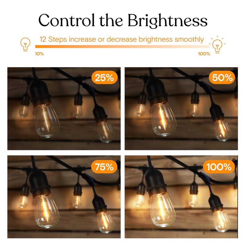 Brightech Smart Dimmer Plug for LED Outdoor String Lights, Comes