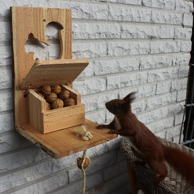 Squirrel Feeder with Flap - Animal Friendly Extra Large Wooden