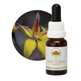 Yellow Cowslip Orchid 15 ml Stockbottle Australian Bush Flower Essences