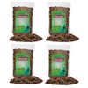 Gardenera Parsley Plant Potting Mix - Elevate Your Cooking Experience
