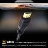 Professional Cables HDMI-1M HDMI Cable