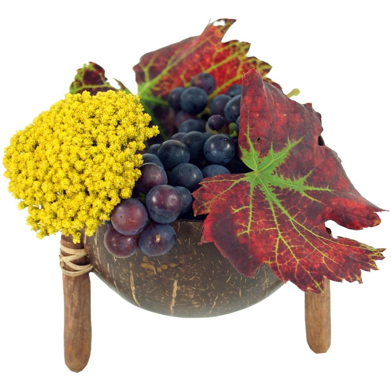 GURU SHOP Exotic Coconut Bowl Design 7, Brown, 9 x