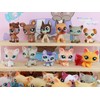 Mini Shop Pet Random for lps Figure Toys- Rare and