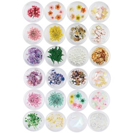 Princess-style Trend Nail & Resin Parts Aurora Film Butterfly Dried Flower Parts Set