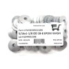 FAS (50) 5/16 x 1-1/8 OD Stainless Steel Washer EPDM