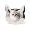 Coco Silver Cat Photo Frame, Interior Frame, Stylish, Silver, Cat,