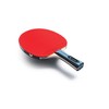 Team Butterfly Challenger Table Tennis Bat, Professional Table Tennis Bat
