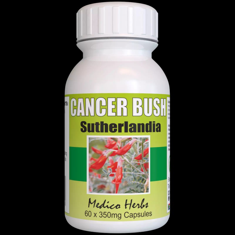 MedicoHerbs Sutherlandia Capsules (60x350mg)