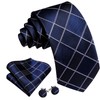 Barry.Wang Men's Silk Business Ties with Handkerchief, Cufflink Stripes Plaid