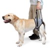 Dotoner Dog Lifting Harness, Dog Support Harness for Rear Legs,
