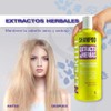 Nefertiti Shampoo Extracto De Hierbas 1 L