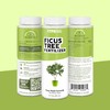 TPS NUTRIENTS Ficus Tree Fertilizer for All Ficus, Fig and