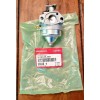 Honda NEW Genuine HONDA Carburetor (Carb) GCV160 16100-Z0L-853 OEM (BB62Z