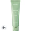 Dewytree Houttuynia Cordata 100 Cream, 50ml, 5 pieces / 듀이트리 어성초 100 크림, 50ml, 5개