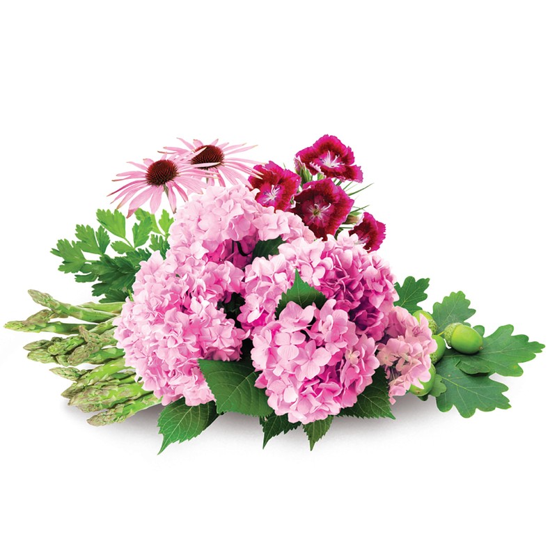 Jobe's Organics Garden Lime, Lime Powder Soil Amendment for Lawns,