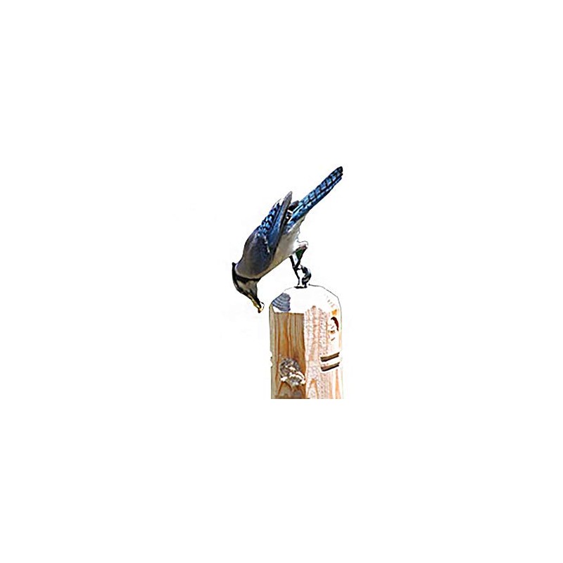 Wildlife Sciences Suet Plugs 48 Pack, Case of 12 Individually