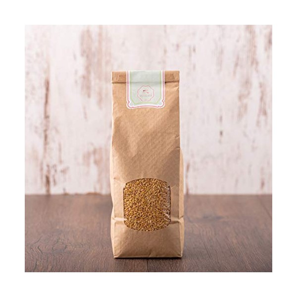 SSSUNDCLEVER.DE est 2016 sssundclever.de? Bio Goldleinsamen | Leinsamen | 1,0