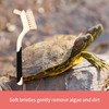 Snout and Shell Turtle Cleaning Brush Remove Aquatic Mud, Dirt,