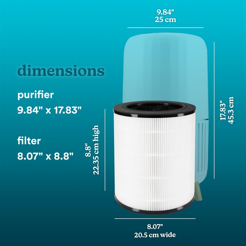 Homedics True HEPA Replacement Filter, Compatible with Homedics Air Purifier