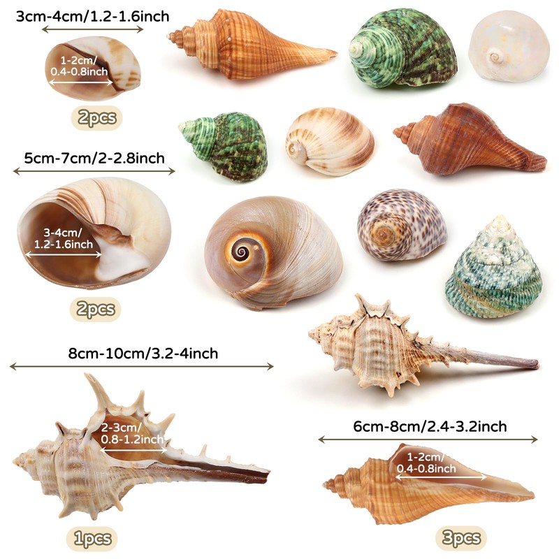 QUOZUO Hermit Crab Sea Shells Natural Coconut Shell Hut Artificial