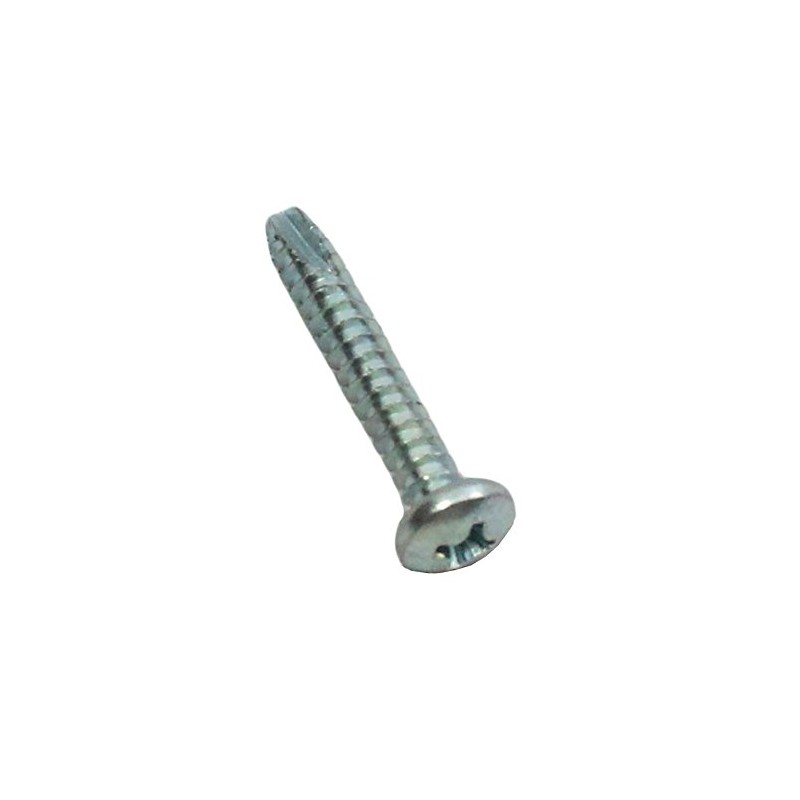 Polaris New OEM Taillight Screw, 4032029