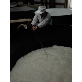 Marumi Tokyo Marumi Elanvital Essence Serum, 1.0 fl oz (30 ml)