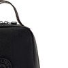 Kipling Womens Women's Lyla Bag, Insulated Reusable Tote, Tote Lunch
