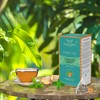 TeaNOURISH Ginger Mint Green Tea | 20 Count Pyramid Tea