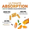 Turmeric Curcumin Supplement 1950mg - 95% Curcuminoids with BioPerine Black