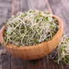 Handy Pantry Broccoli Sprouts Seed Organic- 1 Lb - Non-GMO