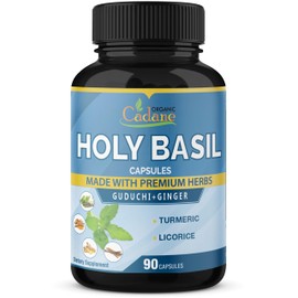 Organic Cadane Holy Basil Supplements Capsules with Guduchi, Ginger, Turmeric Curcumin, Licorice - Support Immune, Energy Production - 90 Capsules for 3 Months