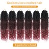 Ombre Crochet Hair 1B/99J/530 Faux Locs 18 Inch 6 Packs