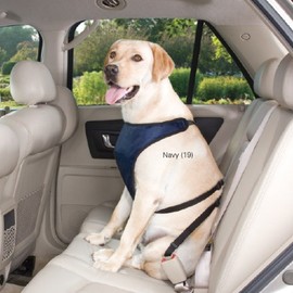 Guardian Gear Polyester Ride Right Dog Car Harness, X-Small, Navy