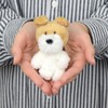 [NICI] Wire Fox Terrier Key Ring Keychain BB Girls Brown
