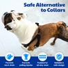 AKC Premium Padded Step-in Dog Harness – Soft Comfort Fit