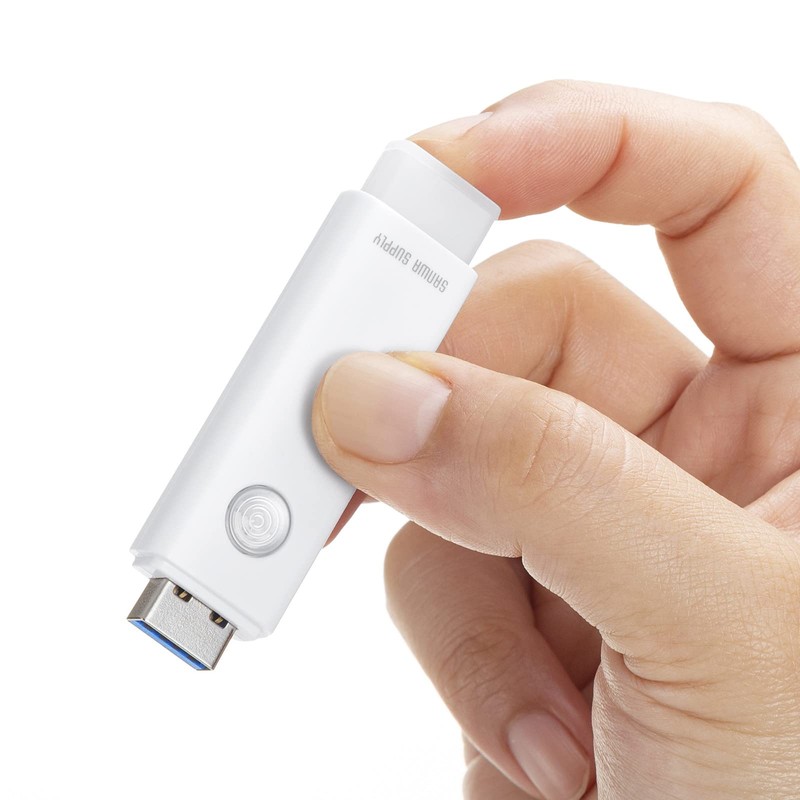 Sanwa Supply USB 3.2 Gen1 Memory (8GB) UFD-3HN8GW