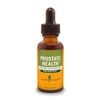 Herb Pharm Prostate Health Liquid Herbal Formula with Saw Palmetto