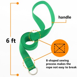 ATICNECH Slip Lead Dog Leash - 10 pcs Colorful 6 FT Short Dog Leashes with O-Ring for Small Large Dogs Puppy Cats Walking Training Running Rescues Grooming Shelter,etc.