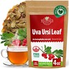 4 oz. Uva Ursi Leaf Uva Ursi Tea Herbal (Arctostaphylos