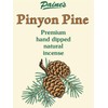 Paine's 20 Sticks 11" PINYON Pine Hand Dipped Natural Incense Premium Fragrance