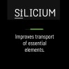 SiLicium Original - Monosilicic Acid Boosts Nutrient Uptake 100 ml
