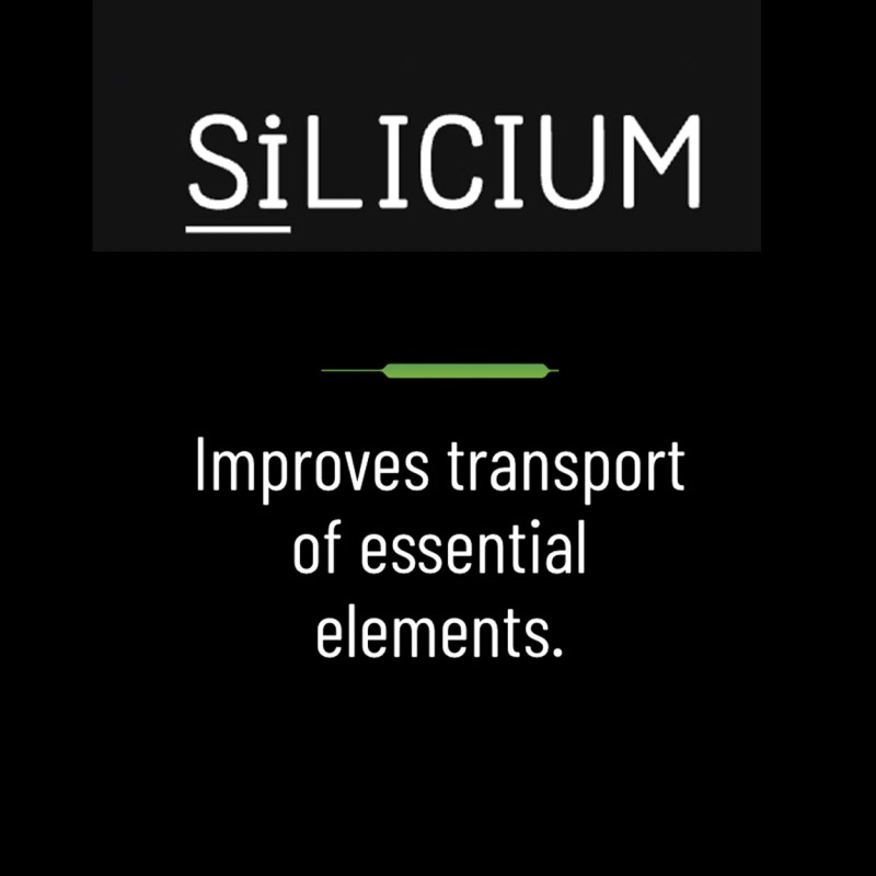 SiLicium Original - Monosilicic Acid Boosts Nutrient Uptake 100 ml