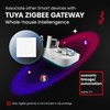 ZMIN Switches Zigbee3.0 Tuya Smart Push Button Light/Scene Switch Smart