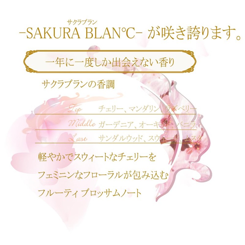 Sakura Blan Fragrance Milky Body Cream Renewal 3.5 oz (100