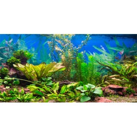 MIRRORANG 120 x 50 cm Aquarium Background Water Plant River Bed & Lake Aquarium Poster Background Vinyl Background