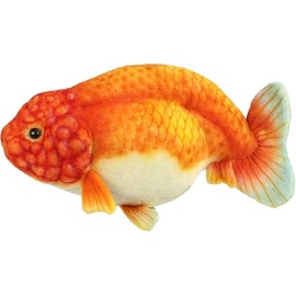 BH8515 HANSA Ranchu 23