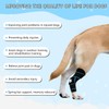 SHARKBEEPOWER Dog Knee Brace for Back Leg, ACL Support for