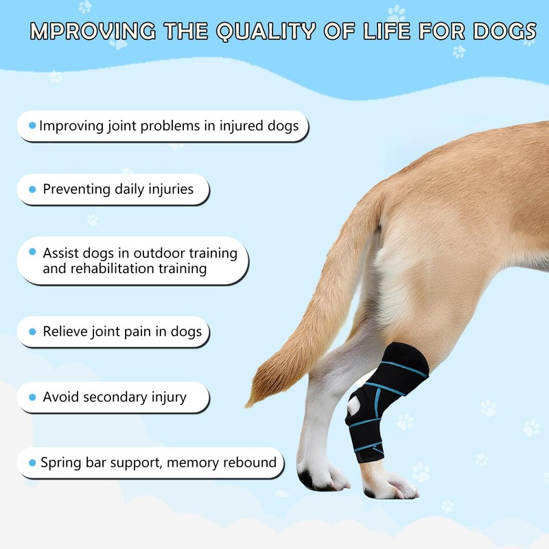 SHARKBEEPOWER Dog Knee Brace for Back Leg, ACL Support for